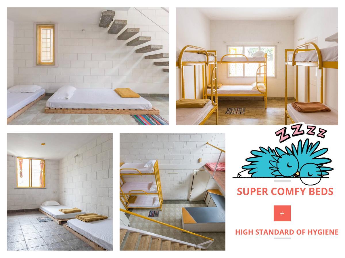 Cuckoo Hostel 班加罗尔 外观 照片